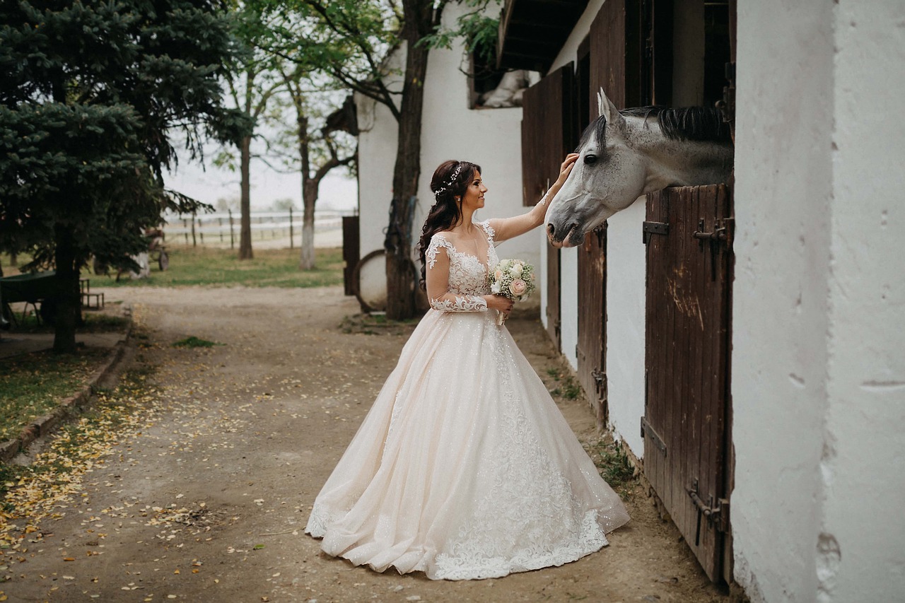 wedding-dress-horse