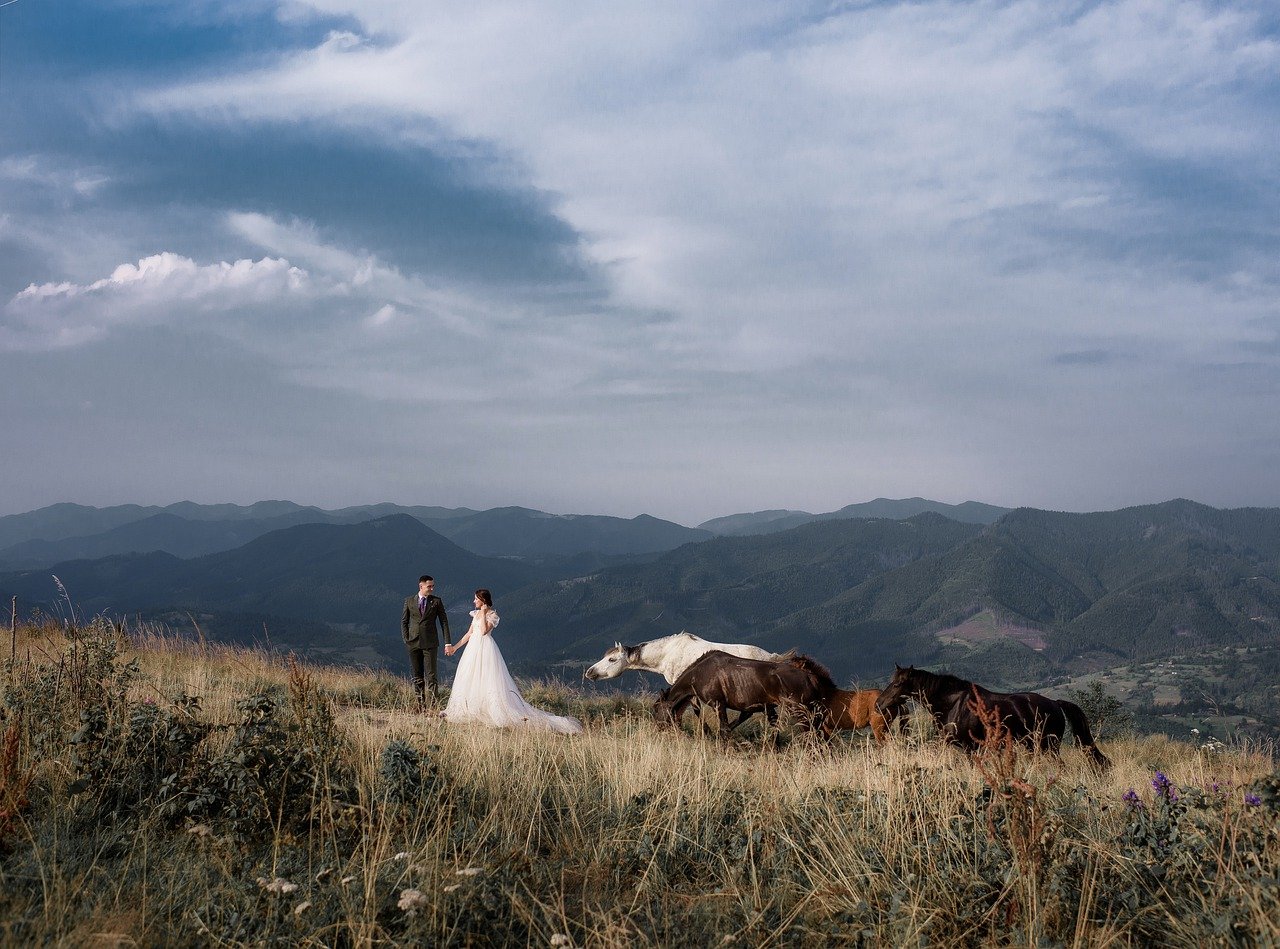 bride-groom-horses