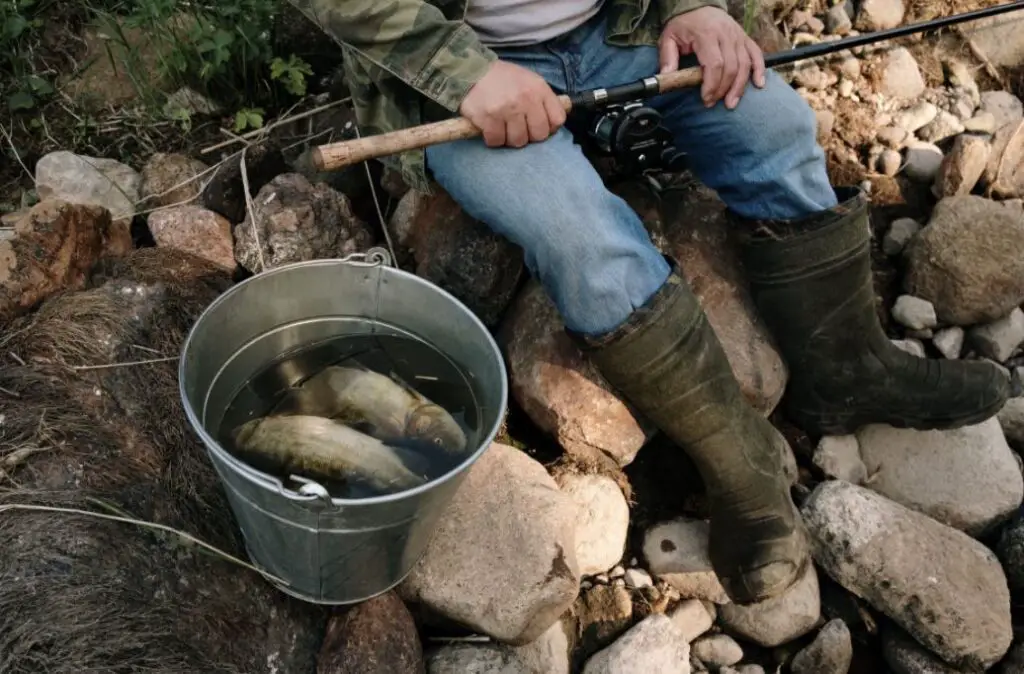 Bucks Party Fishing Charter - Melbourne