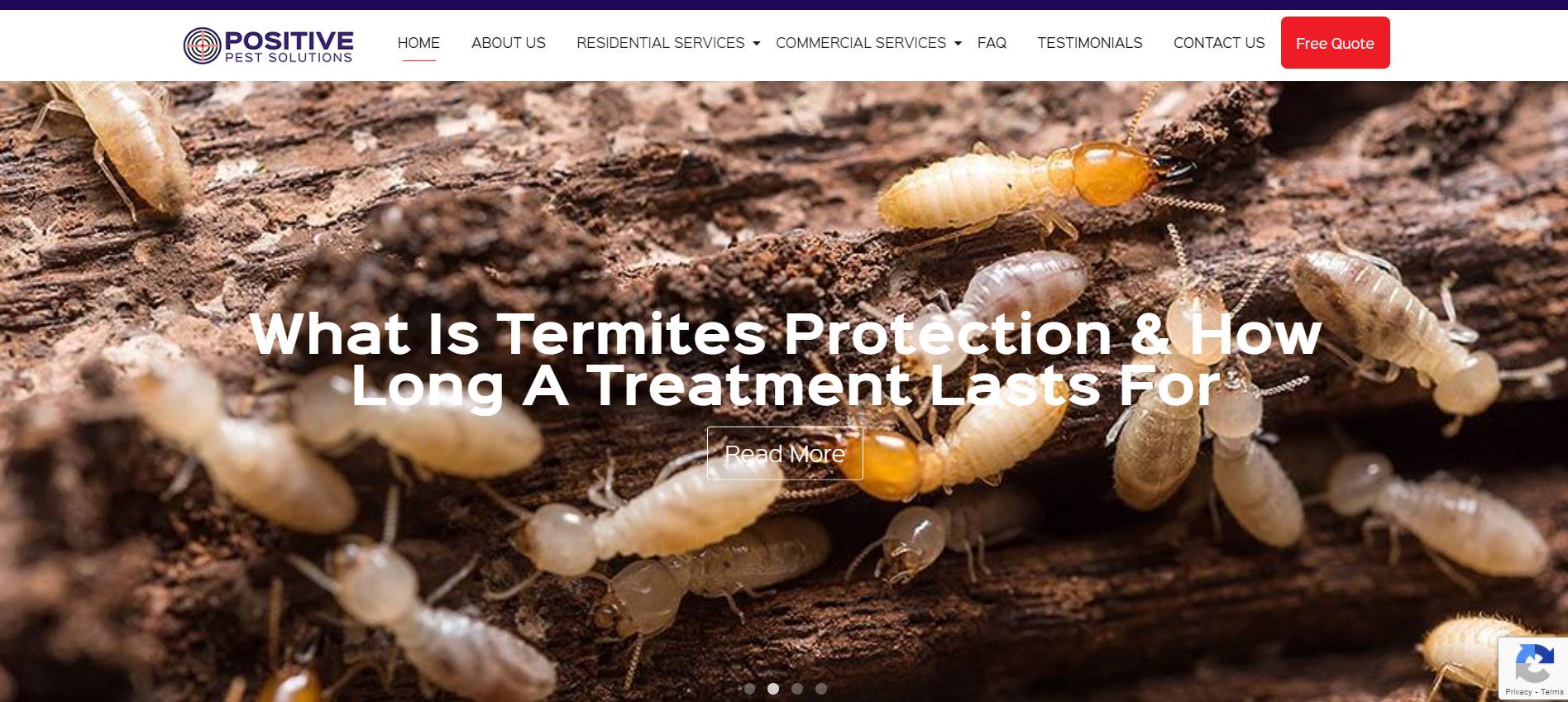 Positive Pest Solutions 